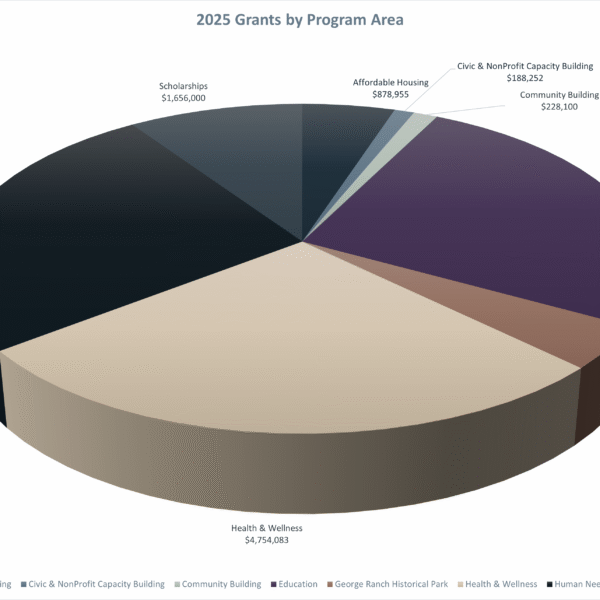2025 Grants By Program Area